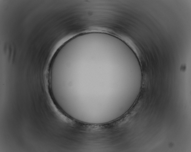 X0000101201003200807181530