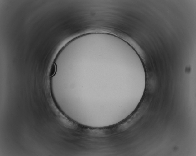 X0000101201004200807181530