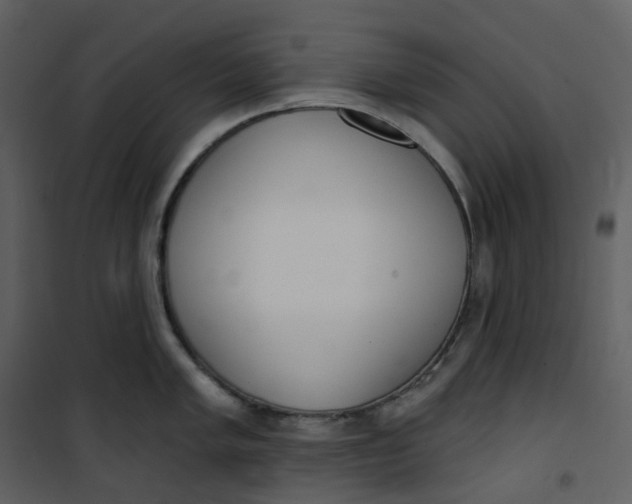 X0000101201005200807181530