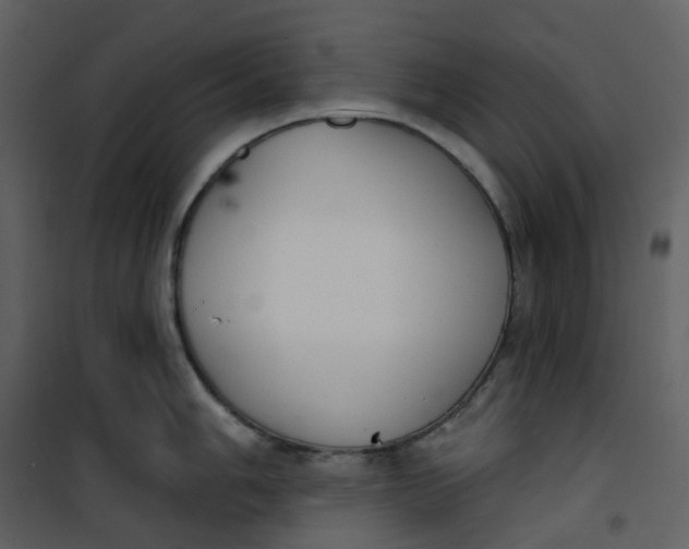 X0000101201006200807181530