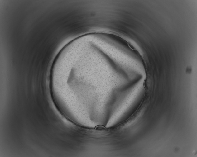 X0000101201007200807181530