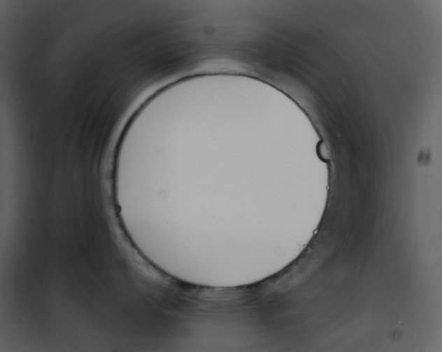 X0000101201008200807181530