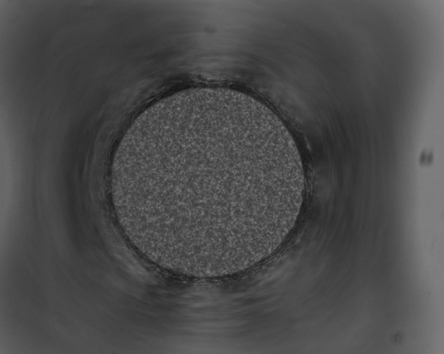 X0000101201009200807181529