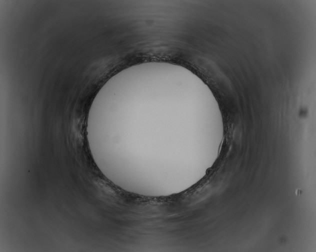 X0000101201010200807181529