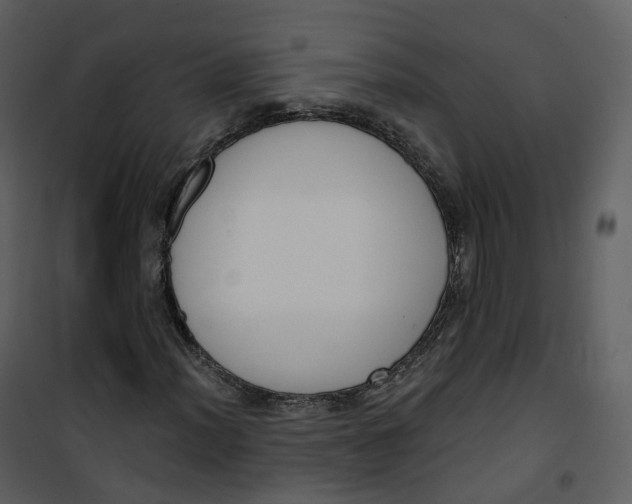 X0000101201012200807181529