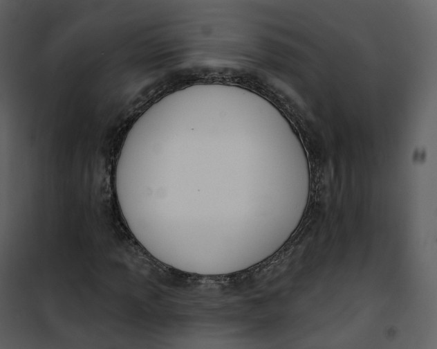 X0000101201013200807181529