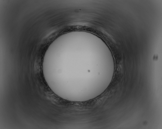 X0000101201014200807181529