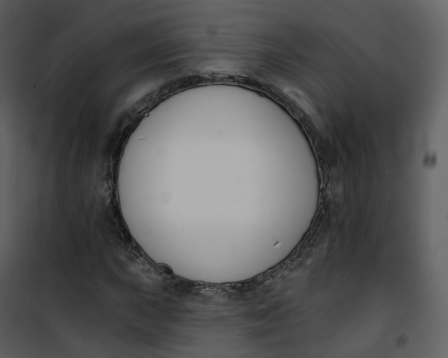 X0000101201015200807181529