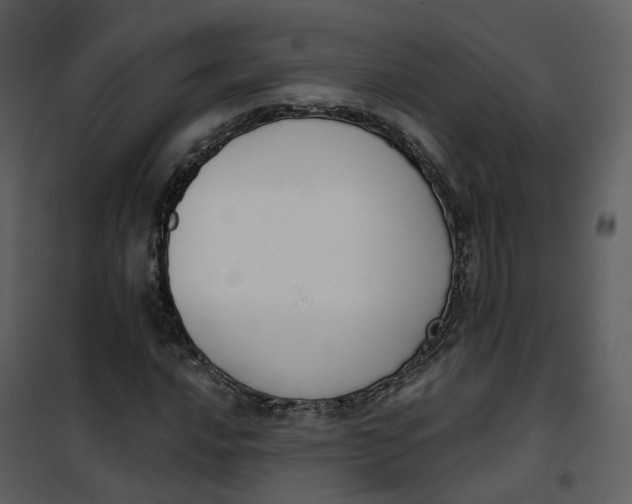 X0000101201016200807181529