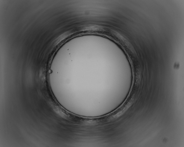 X0000101201017200807181529