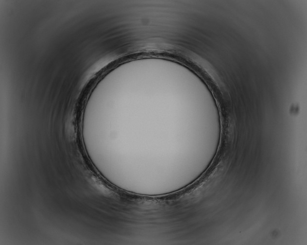 X0000101201018200807181529