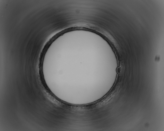 X0000101201020200807181529