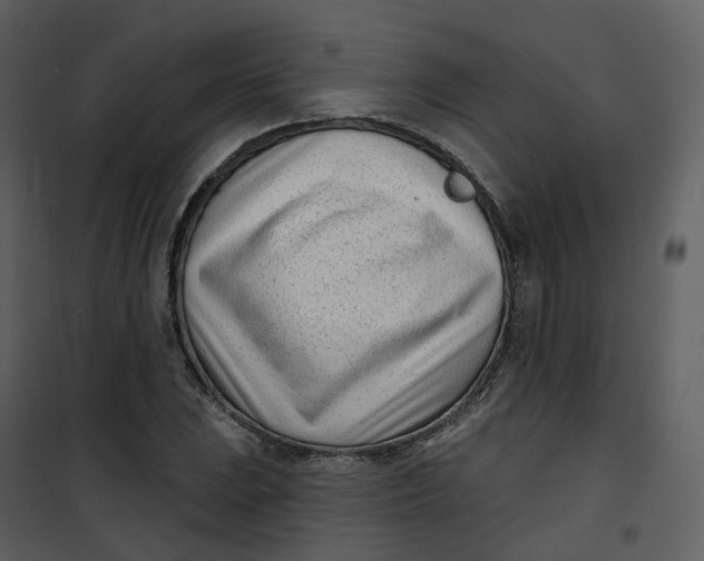 X0000101201023200807181529