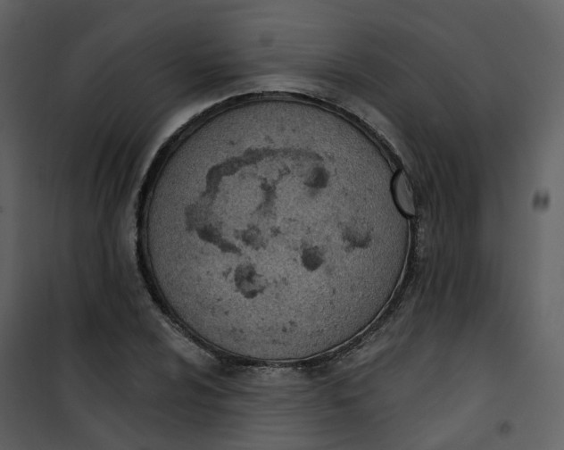 X0000101201024200807181529