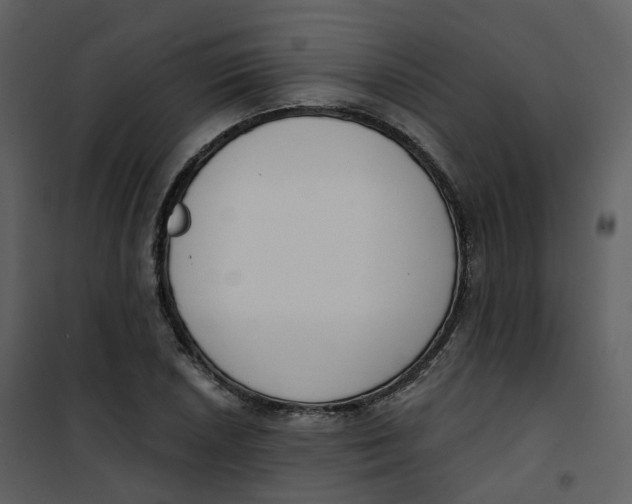 X0000101201026200807181529