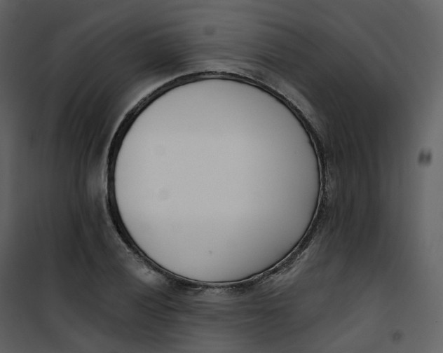 X0000101201028200807181529