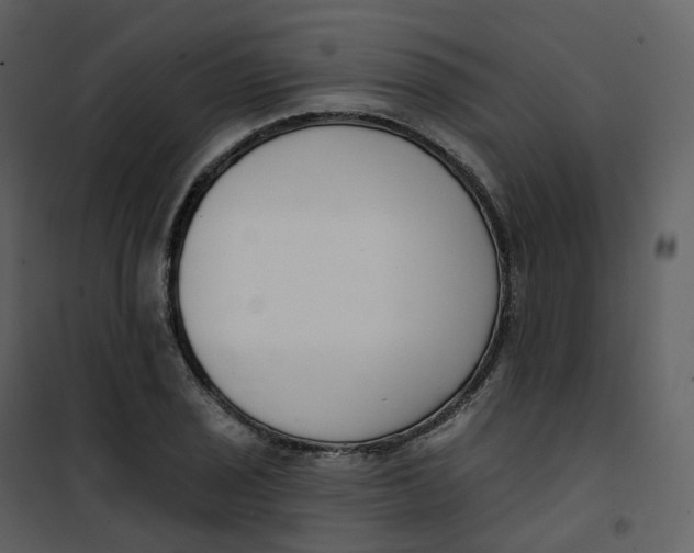 X0000101201029200807181529