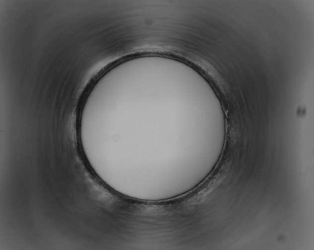 X0000101201030200807181529