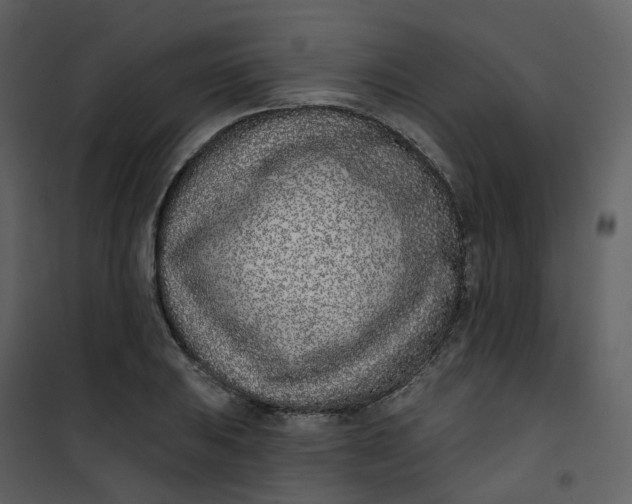 X0000101201031200807181529