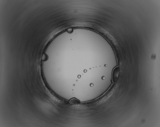 X0000101201033200807181530