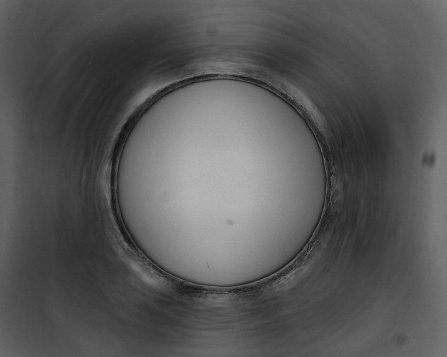 X0000101201035200807181530