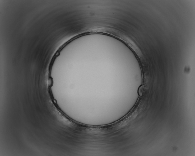 X0000101201036200807181530