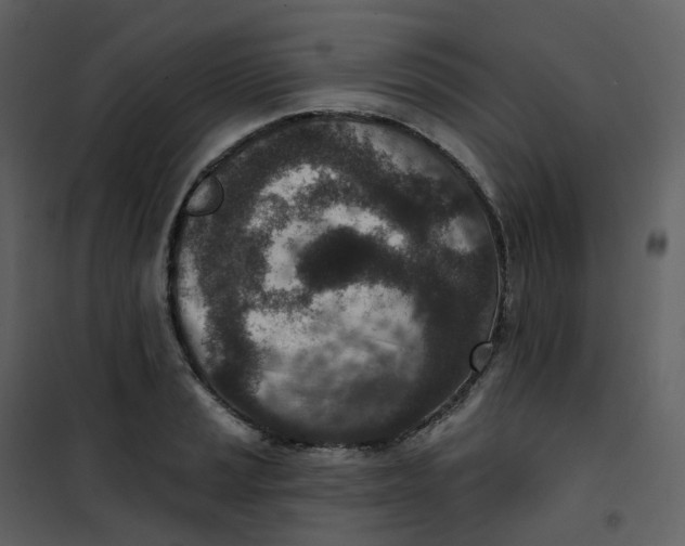 X0000101201037200807181530