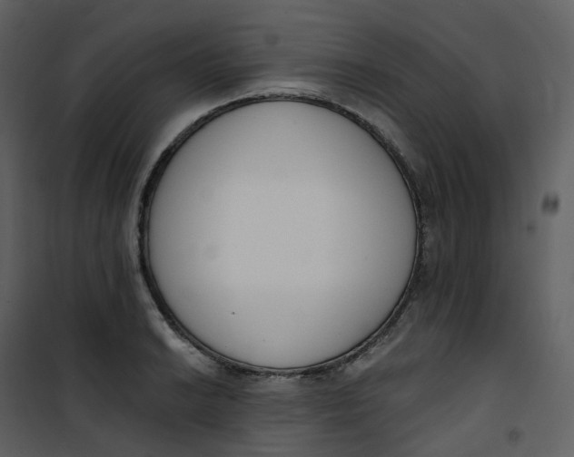 X0000101201038200807181530