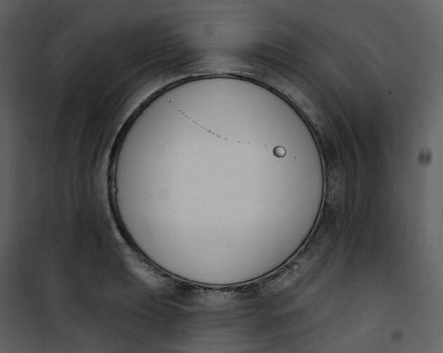 X0000101201039200807181530