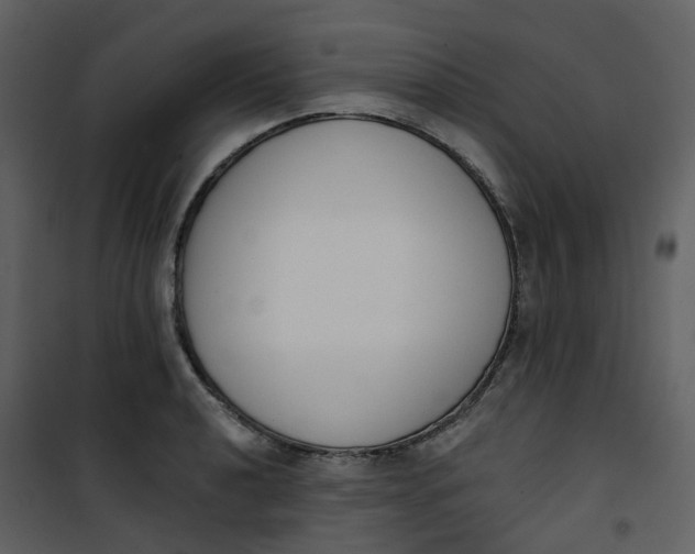 X0000101201040200807181530