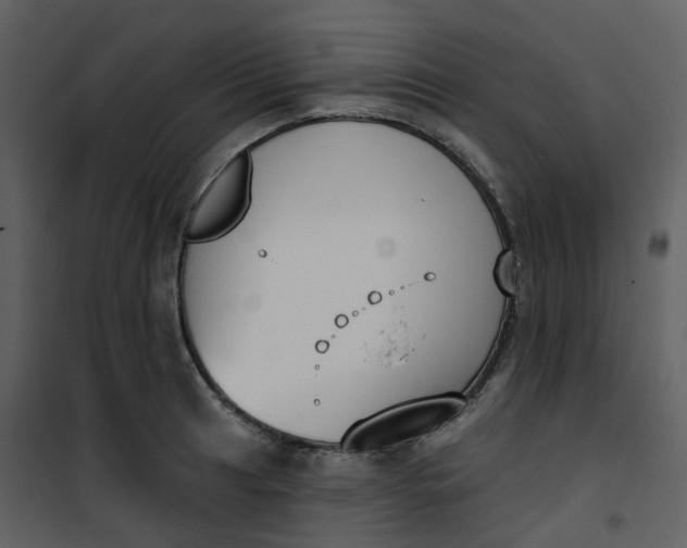 X0000101201041200807181530