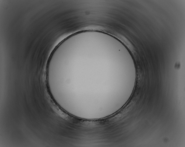 X0000101201044200807181530