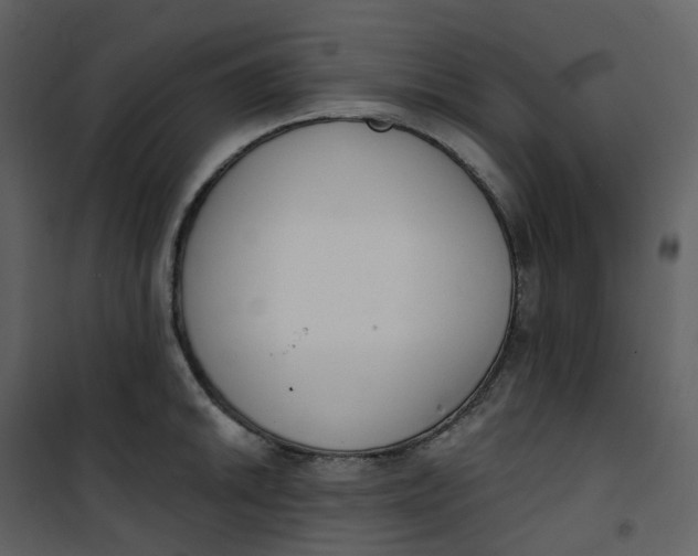 X0000101201046200807181530