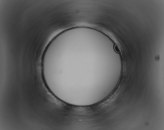 X0000101201048200807181530