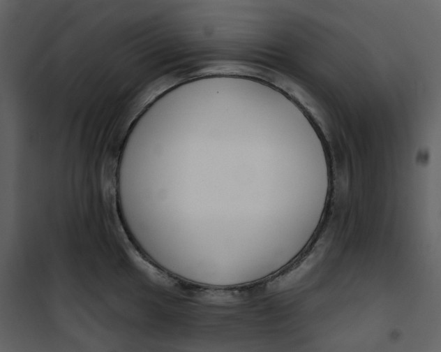 X0000101201049200807181530