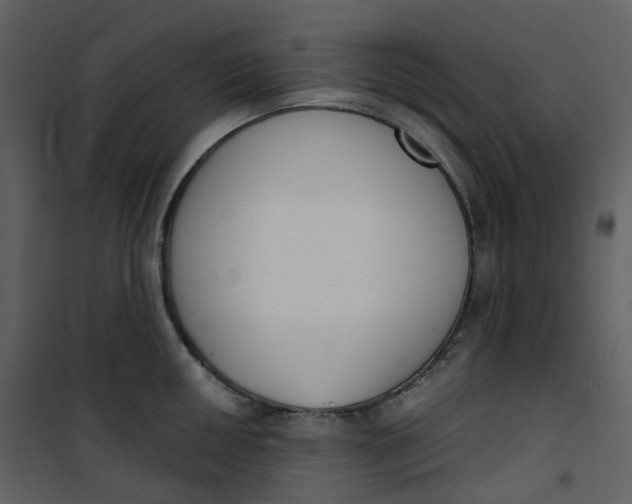 X0000101201050200807181530