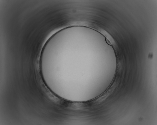 X0000101201052200807181530