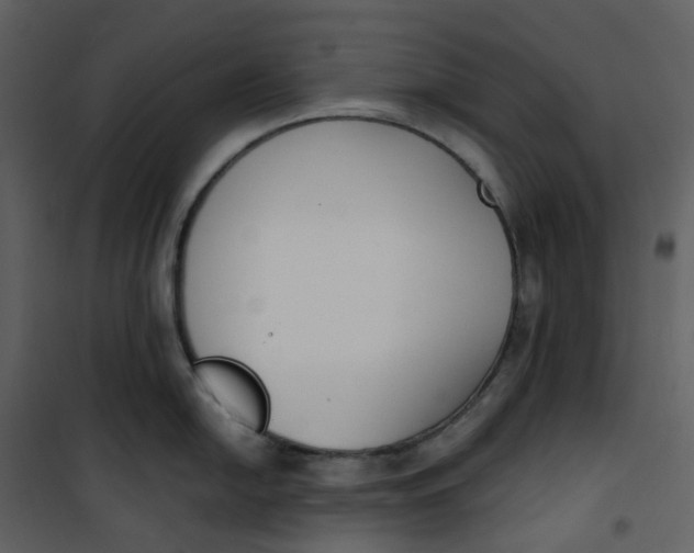 X0000101201054200807181530