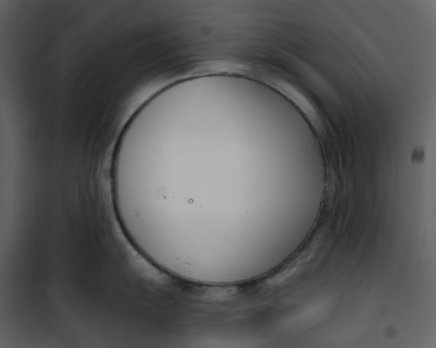 X0000101201055200807181530