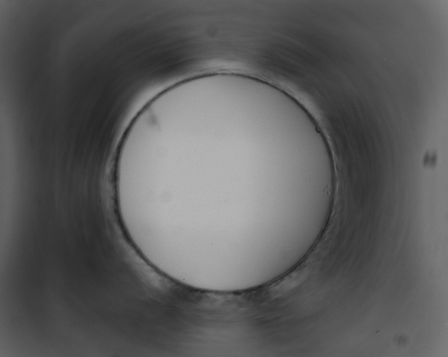 X0000101201056200807181530