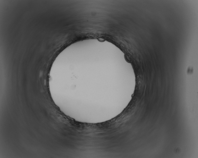 X0000101201057200807181529