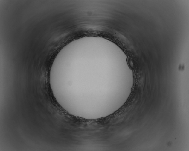 X0000101201061200807181529