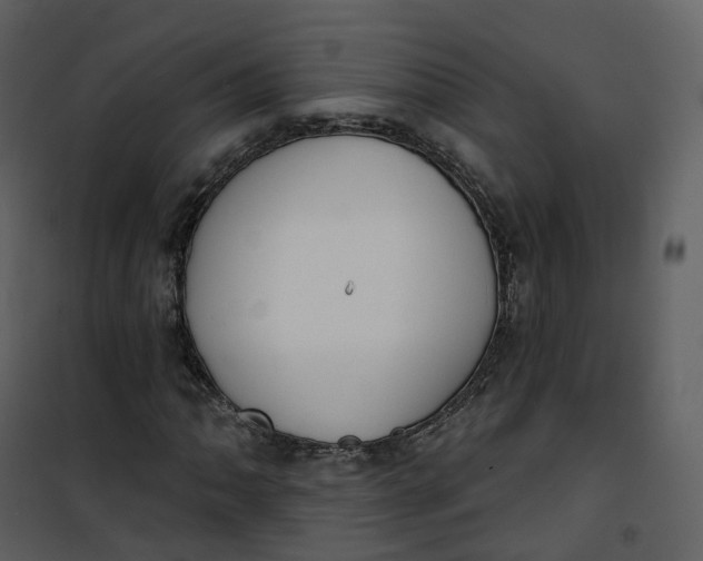 X0000101201062200807181529