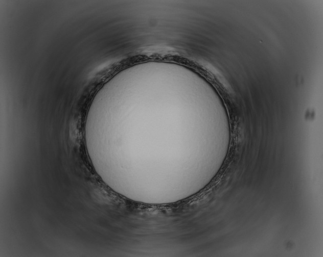 X0000101201063200807181529