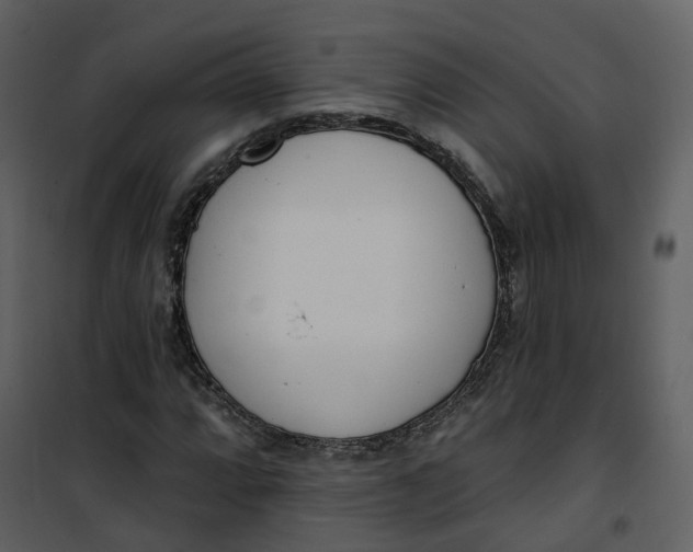 X0000101201064200807181529