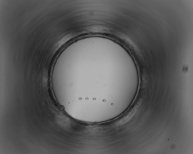 X0000101201065200807181529