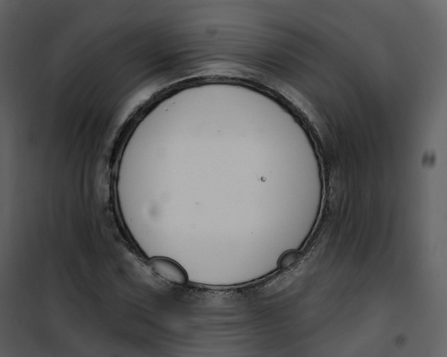 X0000101201067200807181529