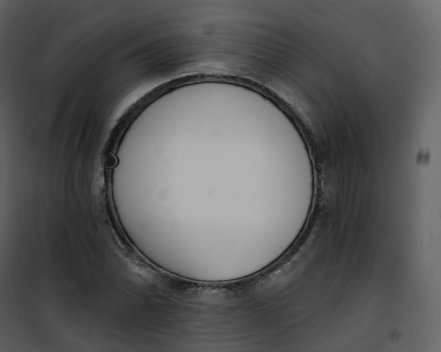 X0000101201070200807181529