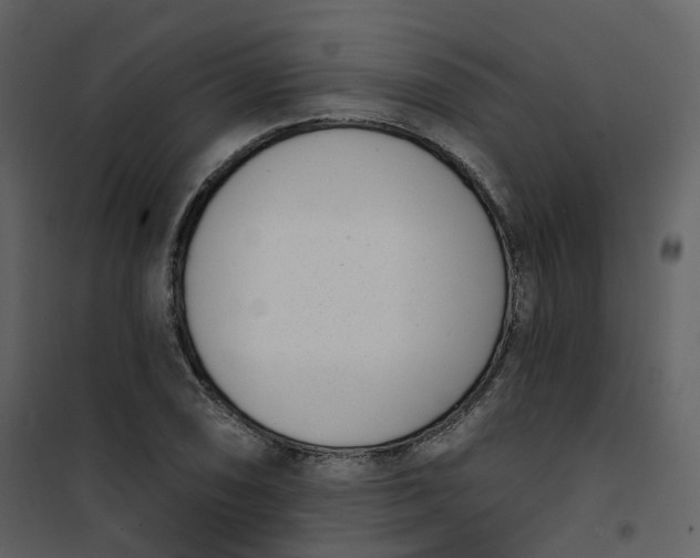 X0000101201074200807181529