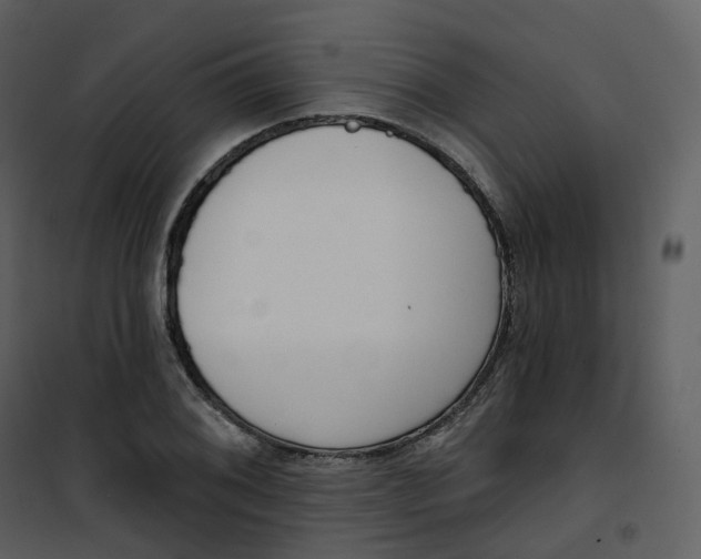 X0000101201076200807181529